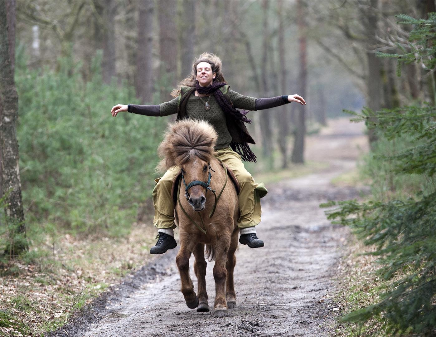 Natuurlijk paarden - Equitopia - Communiceren met paarden Paarden begrijpen